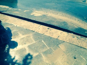 11721937_906124936091603_2075891582_n