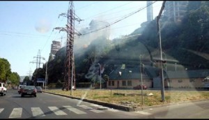 11815850_10205795974076255_1516379975_n