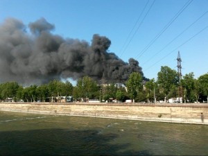 11815866_1030226823667969_1026789752_n