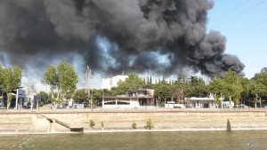 11822077_1030229407001044_513424665_o