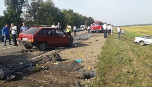 11824045_10204388363220788_1751805415_n