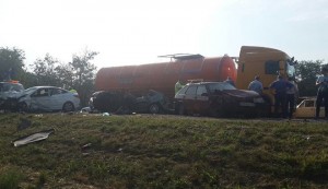 11824086_10204388363300790_786926727_n