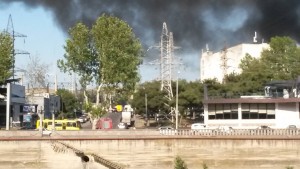 11831252_1030229437001041_1365732453_o (1)