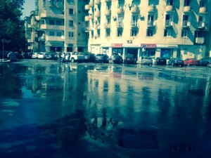 11844011_906124889424941_1731445655_n