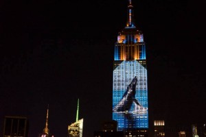 11846059_10204398639757695_608975893_n