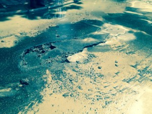 11846296_906124942758269_690717369_n