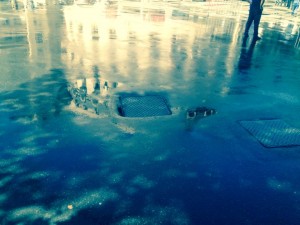 11846330_906124879424942_943578767_n