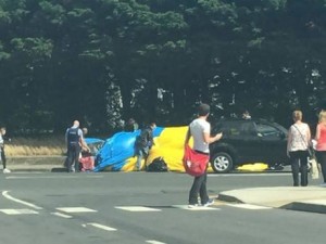 11850777_10204402731299981_2081261193_n