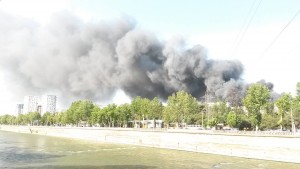 11852662_1030229483667703_277602703_o