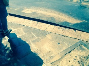 11857656_906124939424936_769228795_n