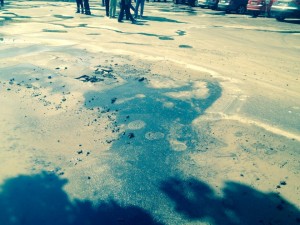 11868775_906124836091613_312084073_n