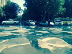 11872589_906124982758265_1536911405_n