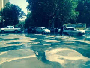 11880174_906124979424932_15245579_n