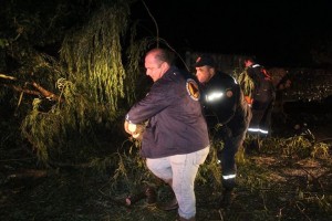 11880570_692496677519001_3473627459029298656_n