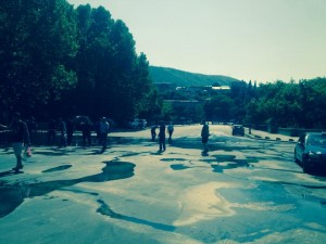 11880811_906124779424952_484483691_n