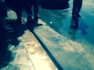 11880919_906124899424940_791155824_n