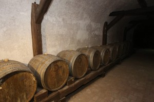 11885070_897795623644848_3337834903630355575_n