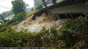 11897212_10204486548075348_1736448714_n