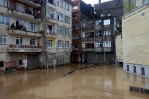 11903597_10204513632072431_1732475697_n