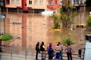 11911401_10204513632232435_1511285504_n