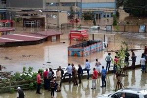 11911537_10204513632272436_1206709036_n