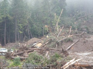 11911769_10204486548235352_745033929_n