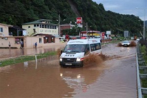 11911901_10204513631952428_800463995_n