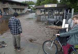 11913004_10204486548195351_2049980987_n