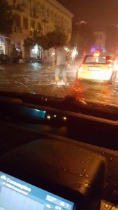 11913056_10153157370549779_649898980_n