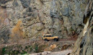 11913246_10153153268524779_1339895281_n