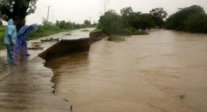 11923222_10205930787006494_5195848541898303369_n