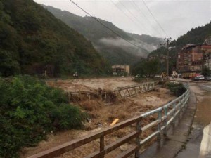 11940148_10204513631992429_82538799_n