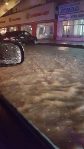 11947684_10153157342584779_6200736606963238671_n