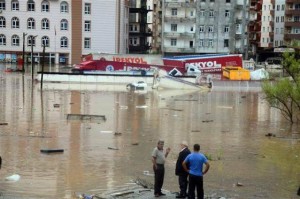 11949591_10204513632352438_62447030_n