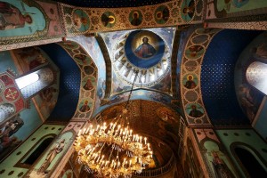 11951972_908819122542498_8650623681771114707_n