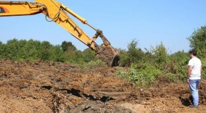 11924823_1185988351417153_2357983897903438854_o