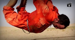 11940122_10204560707369284_1957194905_n