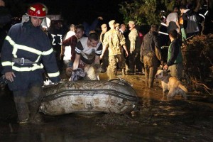 11944720_967082863337599_827330159_n