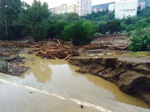 11950842_967082873337598_358687516_n