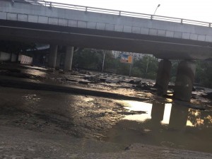 11992289_967082850004267_1542401848_n