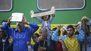 11992454_10204572066013243_1508282406_n