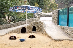 11994394_408453642694158_653901531_n