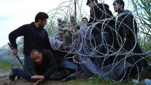 11997250_10204572066093245_597688038_n