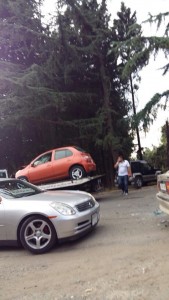 11997412_10153184744389779_1275464772_n