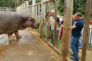 11998023_408453736027482_2131914258_n