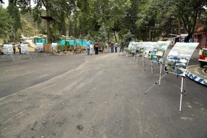 11999947_408453786027477_584354529_n