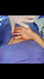 12003280_1007840489238444_5727038275026905784_n