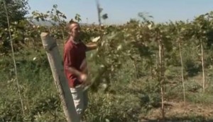 12032329_411244182415104_1418620510_n