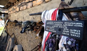 12033428_419248911603833_299757798_n