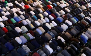 12042087_10204680509884272_1695920250_n